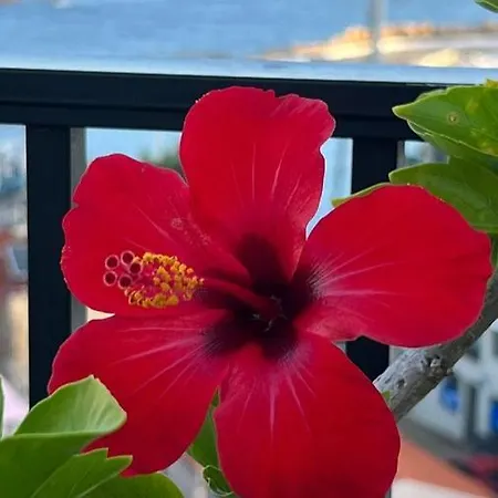 Candia Hotel Chania (Crete)