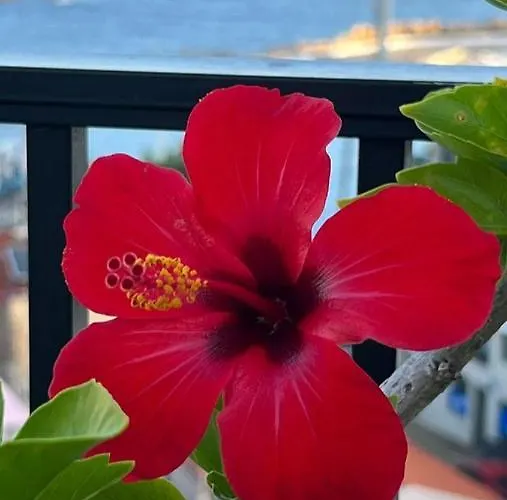 Candia Hotel Chania (Crete)